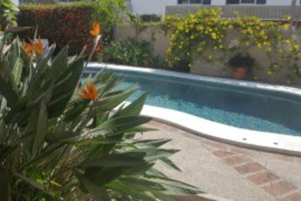Apartmento Con Alberca A 50 Mt Del Mar La Licha Mazatlan Luaran gambar